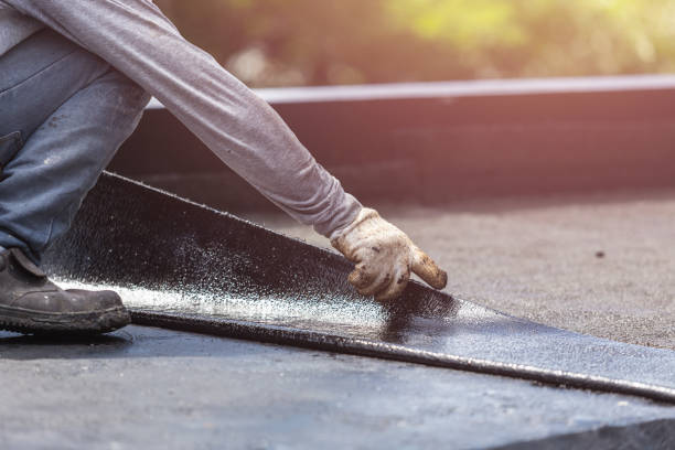 Professional Interior Drainage System technician working in Moscow, ID